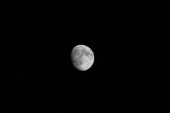 4R3A0125B